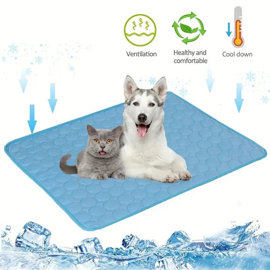 Culpable de consentir a tu mascota: Lote de productos