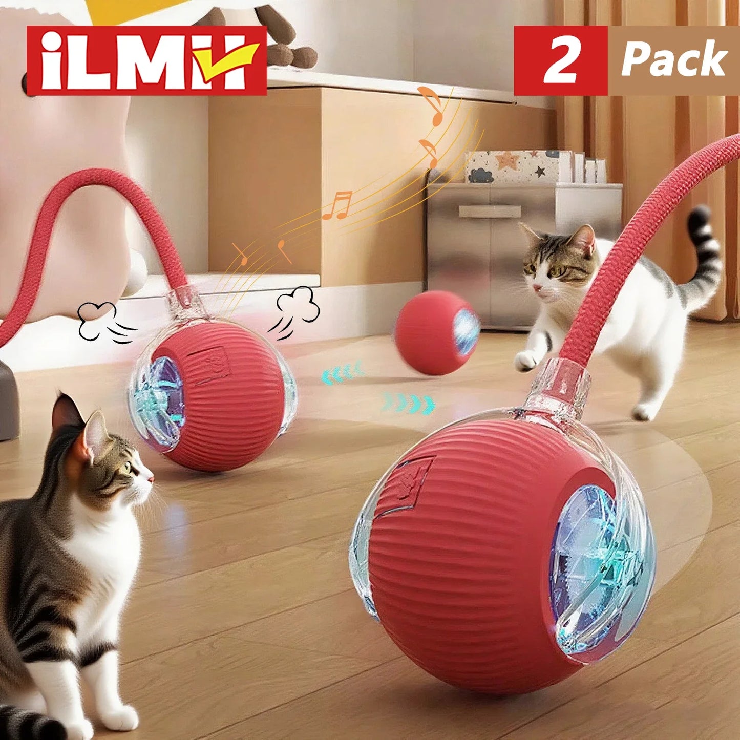 Indoor Cat Happiness Kit