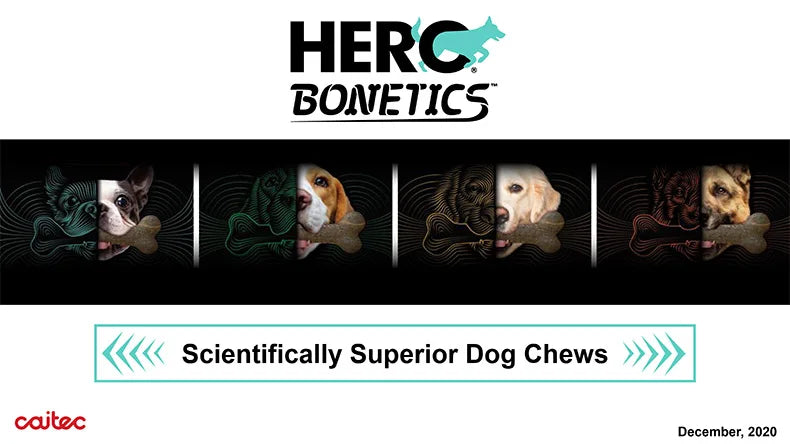 ToughBone™ Durable Nylon Dog Chew Toy