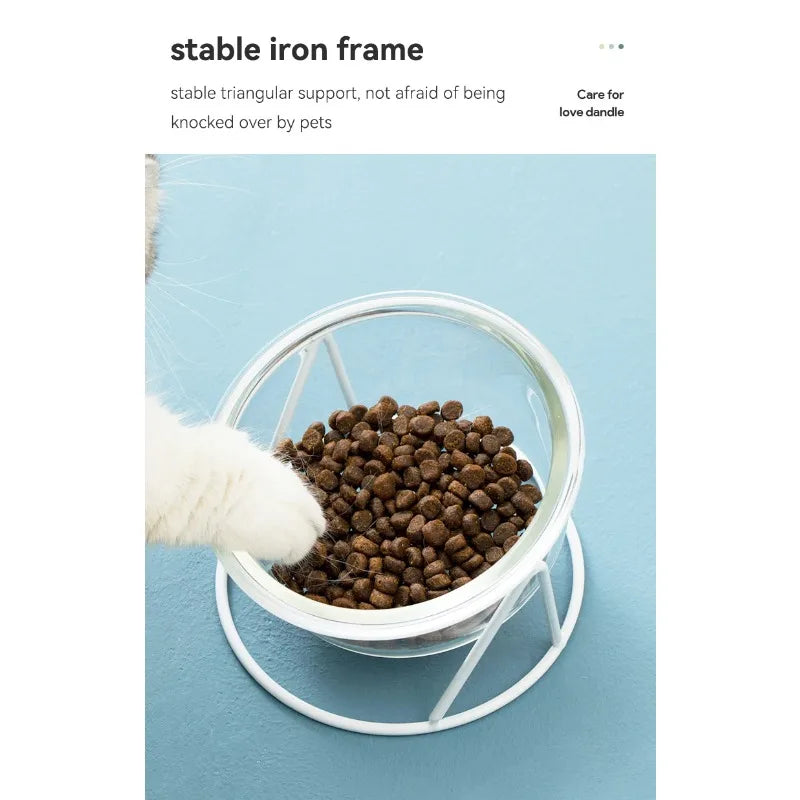CrystalPaws™ Elevated Glass Food & Water Bowl with Stand