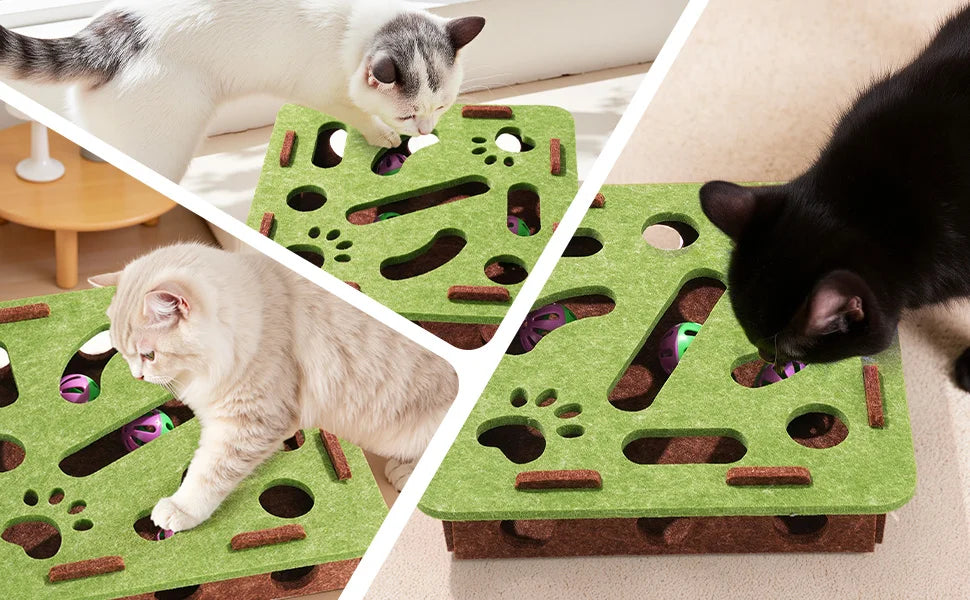 PurrPuzzle™ Interactive Cat Maze Toy with Bell Balls