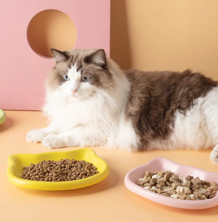 WhiskerDish™ Premium Cat Food & Treat Bowl