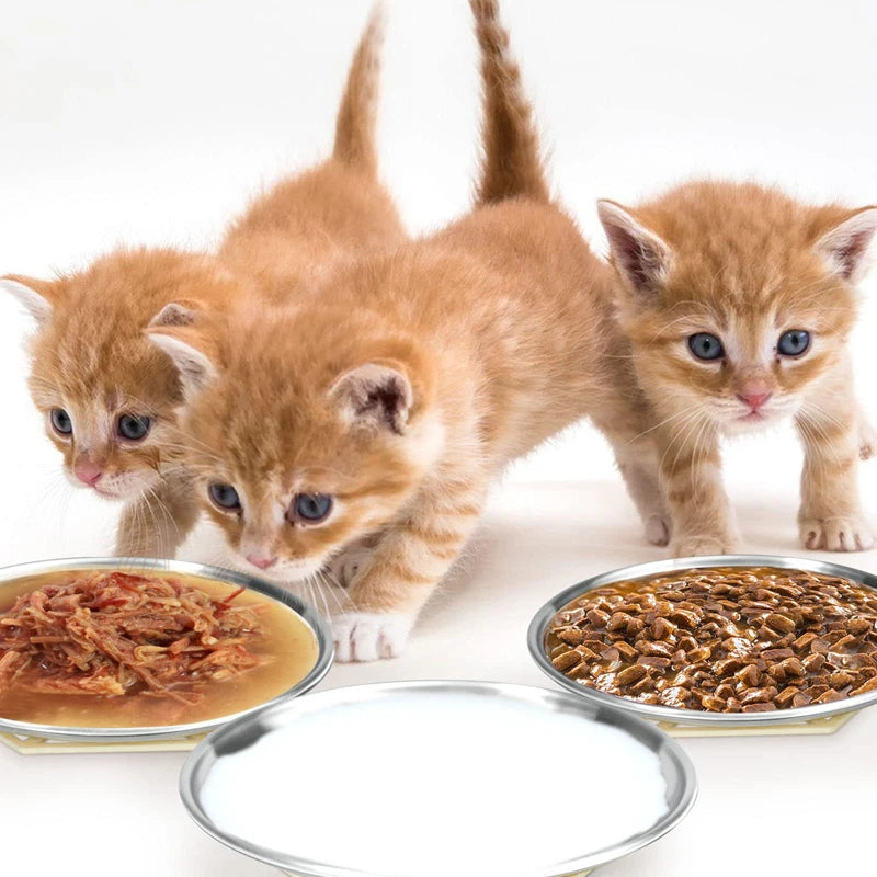 WhiskerEase™ Stainless Steel Shallow Cat Bowl for Whisker Relief