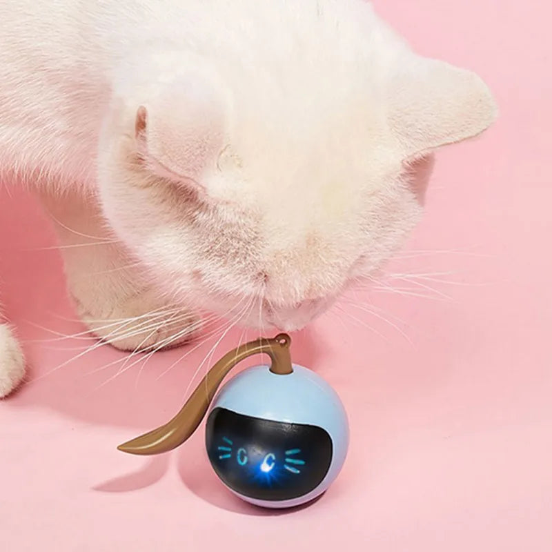 ZoomieBall™ Automatic LED Cat Toy – USB Rechargeable Interactive Ball