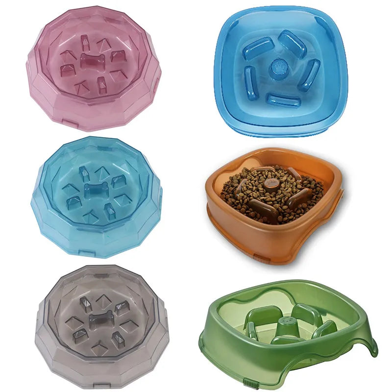 SlowPaws™ Anti-Choking Slow Feeder Bowl for Dogs & Cats
