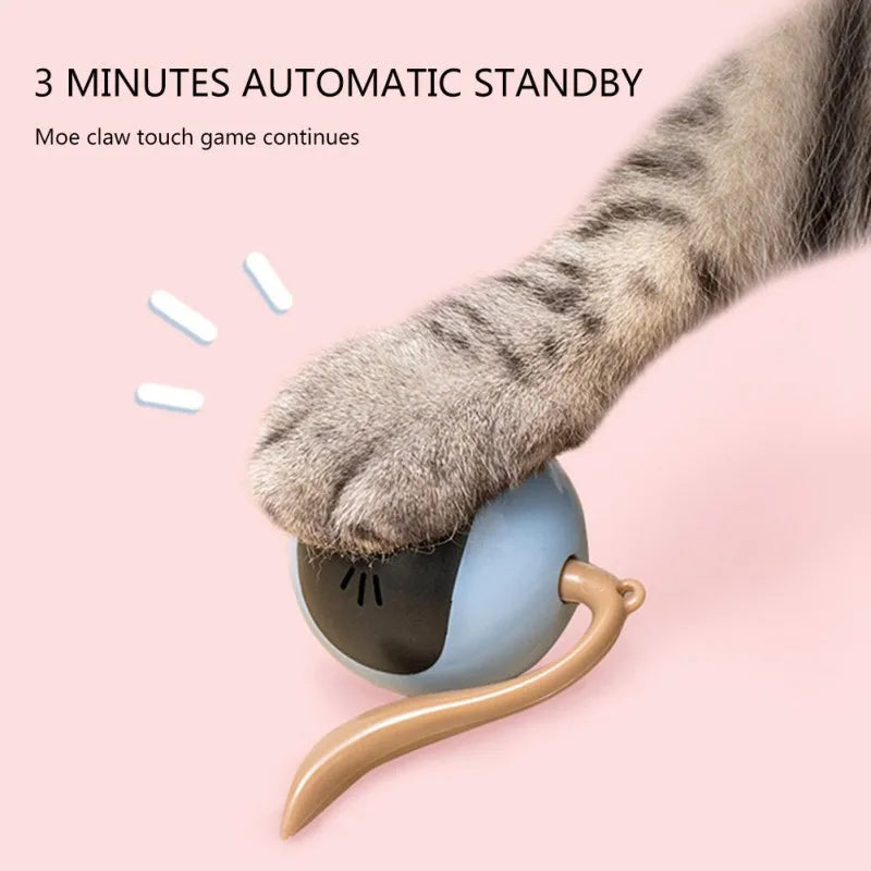ZoomieBall™ Automatic LED Cat Toy – USB Rechargeable Interactive Ball