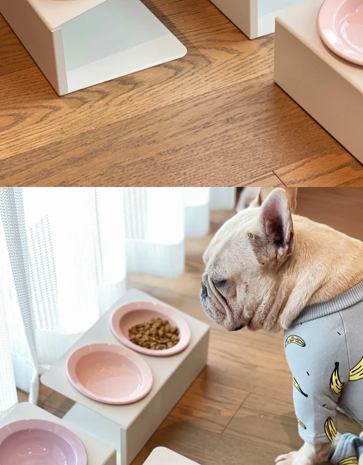 WhiskerDish™ Elevated Ceramic Cat & Dog Feeding Bowl Set