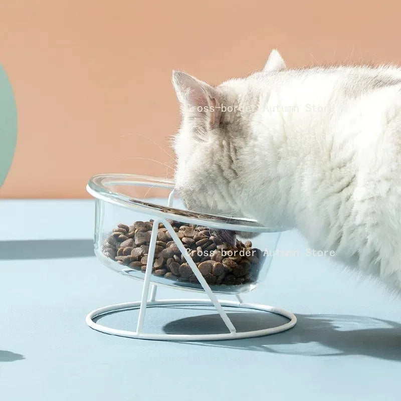 CrystalPaws™ Elevated Glass Food & Water Bowl with Stand
