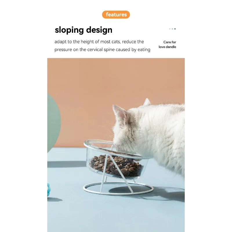 CrystalPaws™ Elevated Glass Food & Water Bowl with Stand