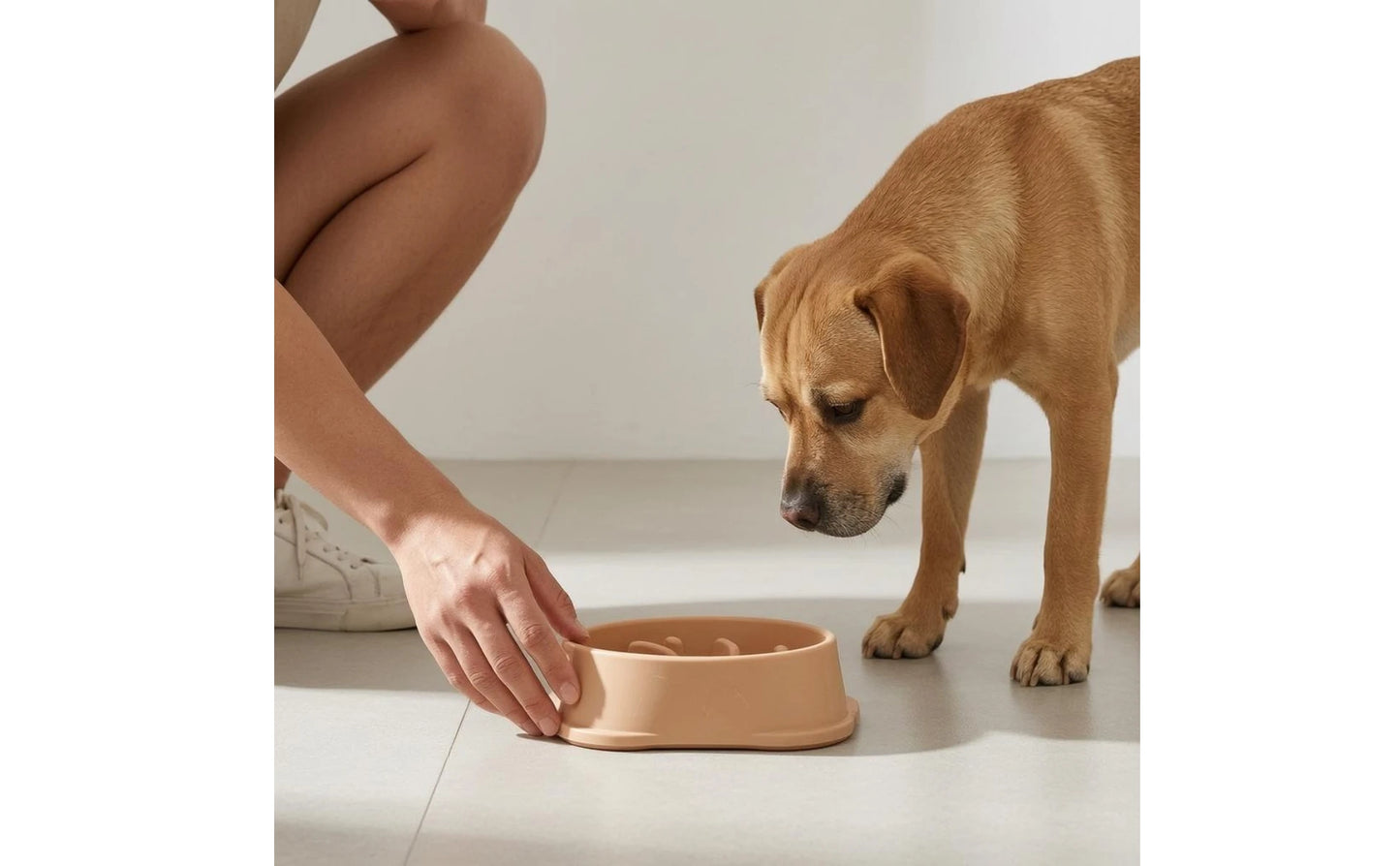 PacePaws™ Cuenco Cuadrado de Alimentación Lenta para Gatos y Mascotas Pequeñas