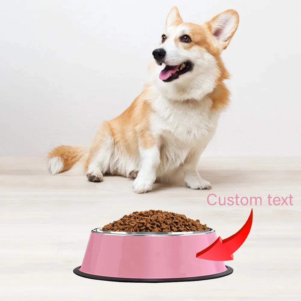Dog sitting next to a pink dog bowl with food on a light background