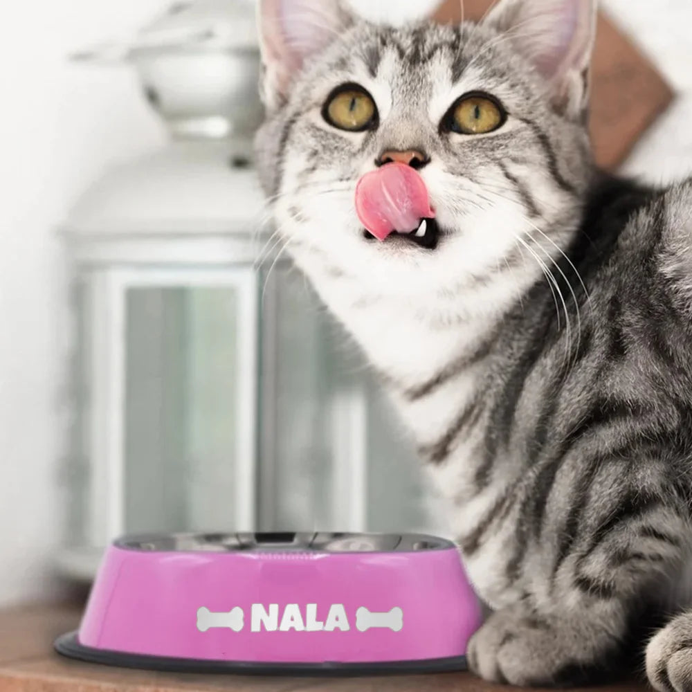 PawSignature™ Custom Stainless Steel Dog & Cat Bowl
