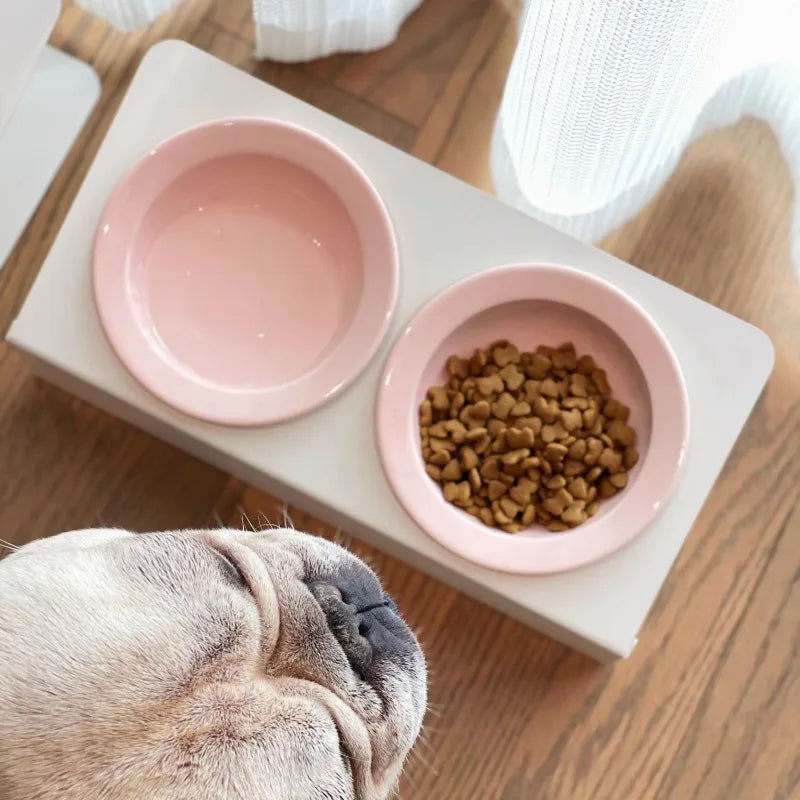 WhiskerDish™ Elevated Ceramic Cat & Dog Feeding Bowl Set