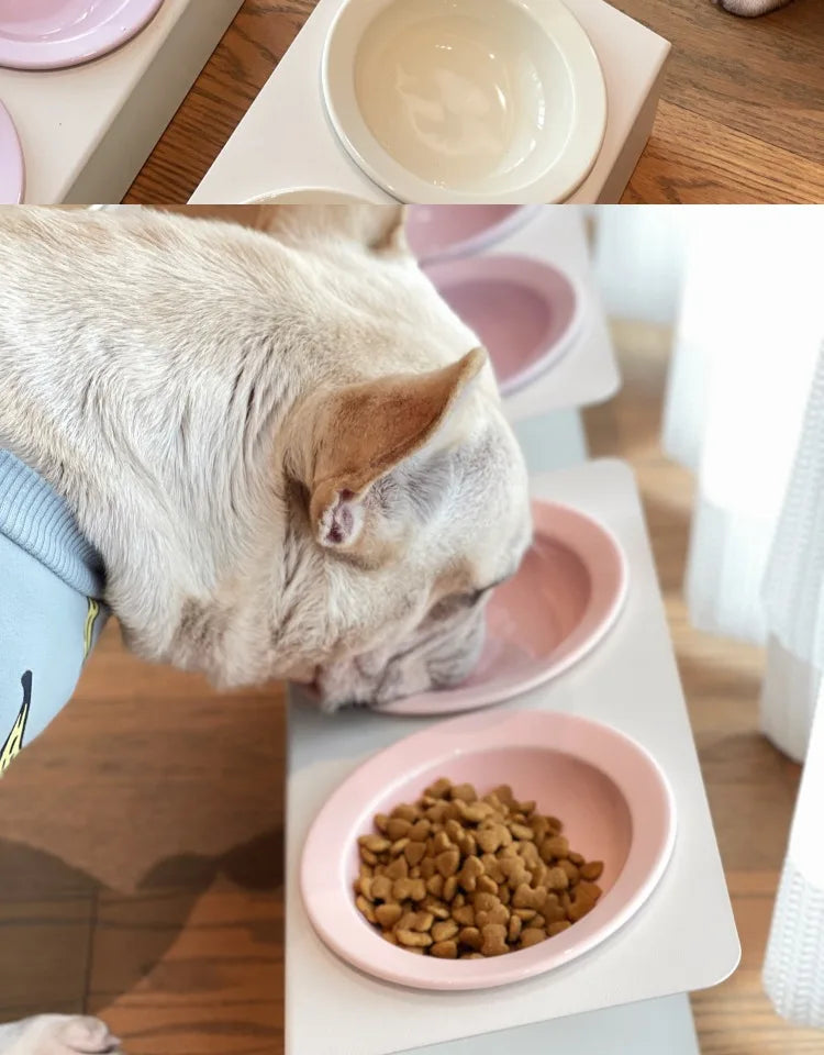 WhiskerDish™ Elevated Ceramic Cat & Dog Feeding Bowl Set