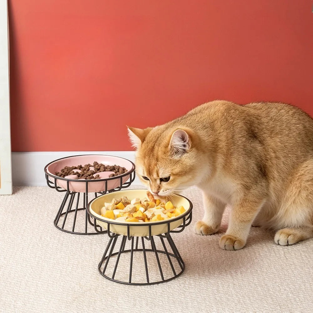 WhiskerEase™ Elevated Ceramic Slow Feeder Bowl for Cats & Small Dogs