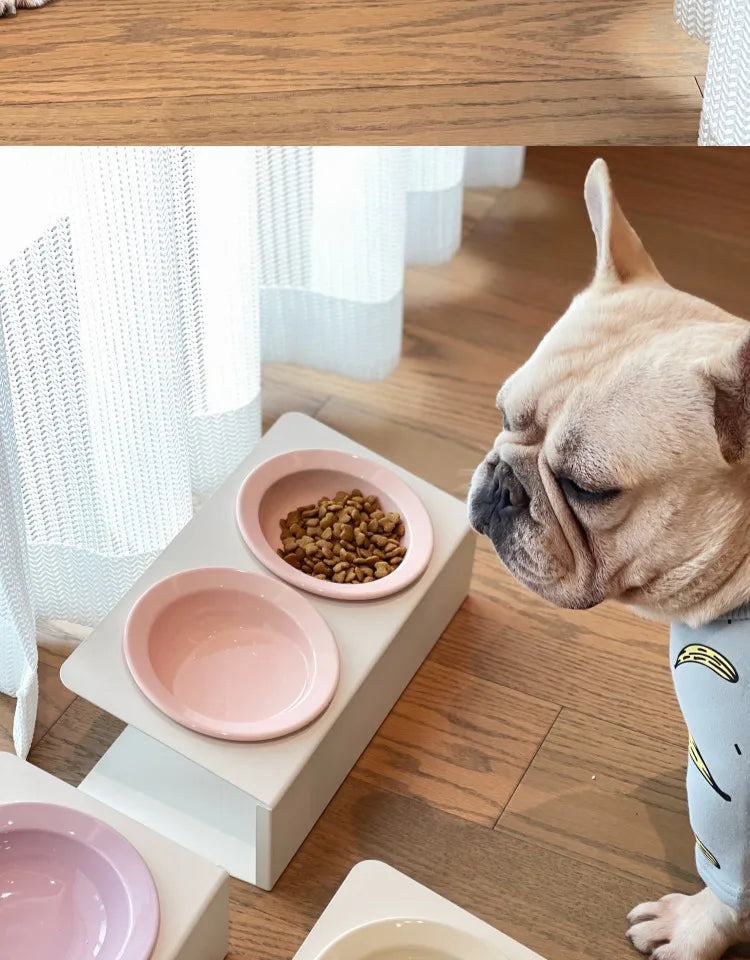 WhiskerDish™ Elevated Ceramic Cat & Dog Feeding Bowl Set