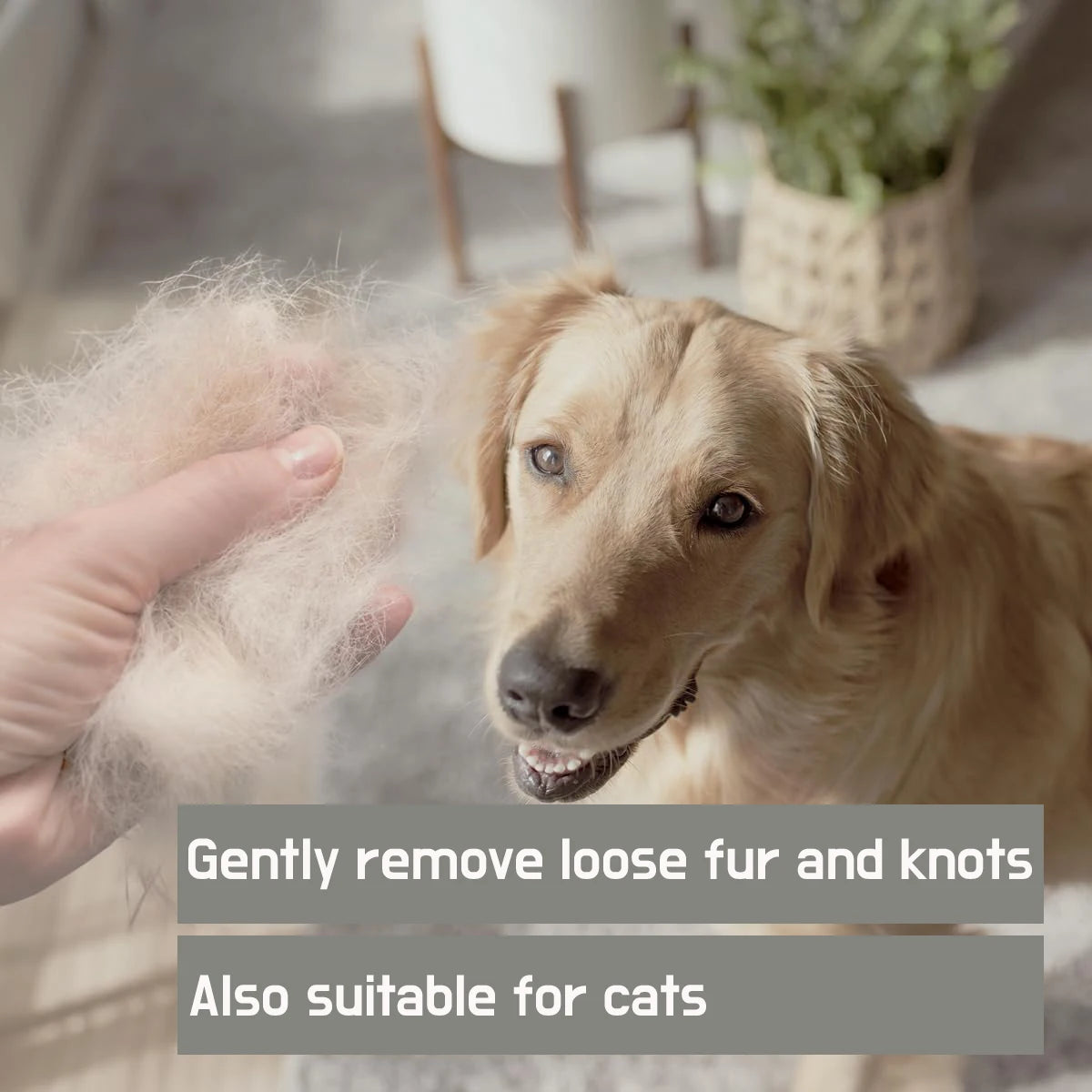 GroomMaster™ Juego de 6 Cepillos de Aseo para Perros y Gatos