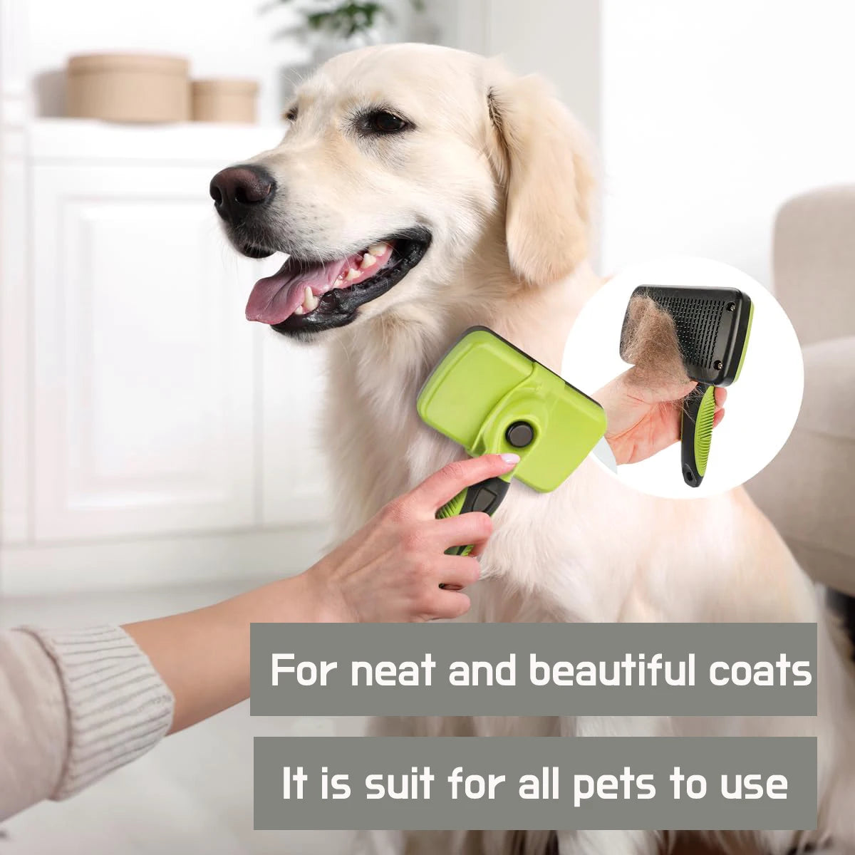GroomMaster™ Juego de 6 Cepillos de Aseo para Perros y Gatos