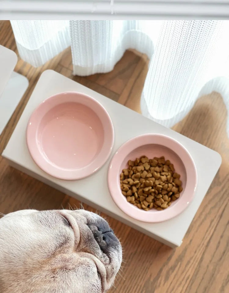 WhiskerDish™ Elevated Ceramic Cat & Dog Feeding Bowl Set