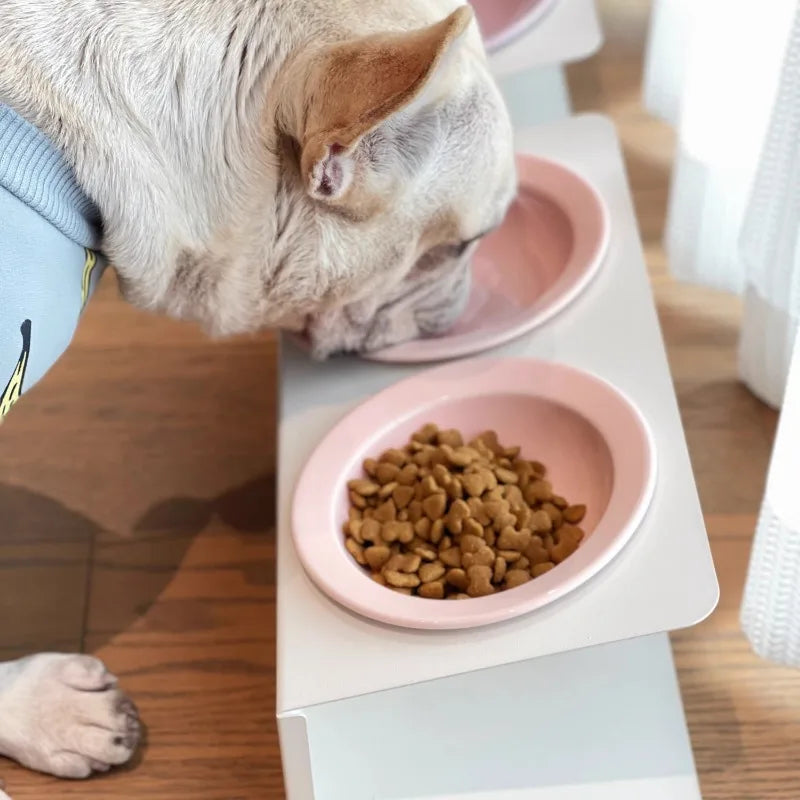 WhiskerDish™ Elevated Ceramic Cat & Dog Feeding Bowl Set