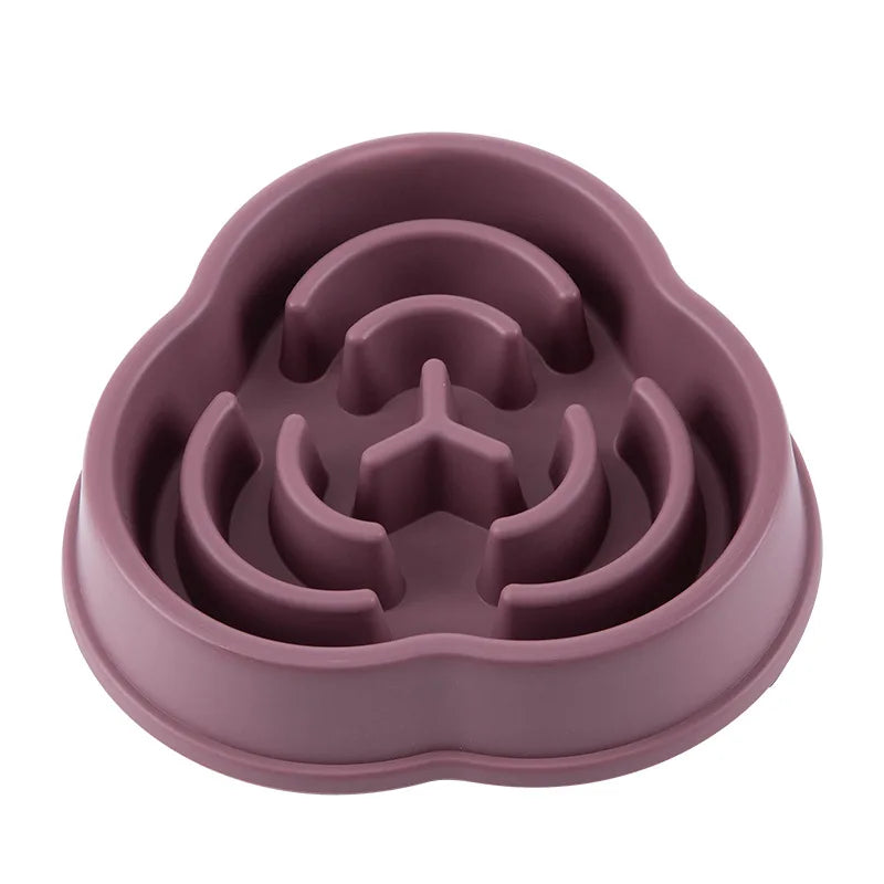 SlowPaws™ Anti-Choking Slow Feeder Bowl for Dogs & Cats