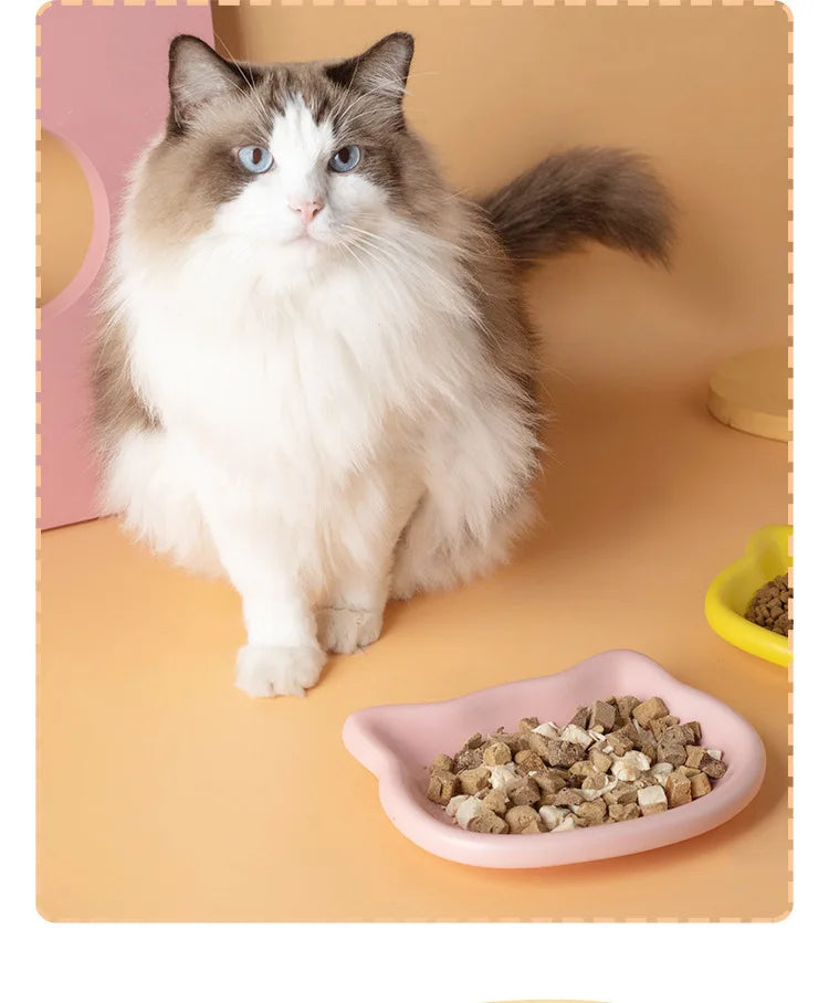WhiskerDish™ Premium Cat Food & Treat Bowl