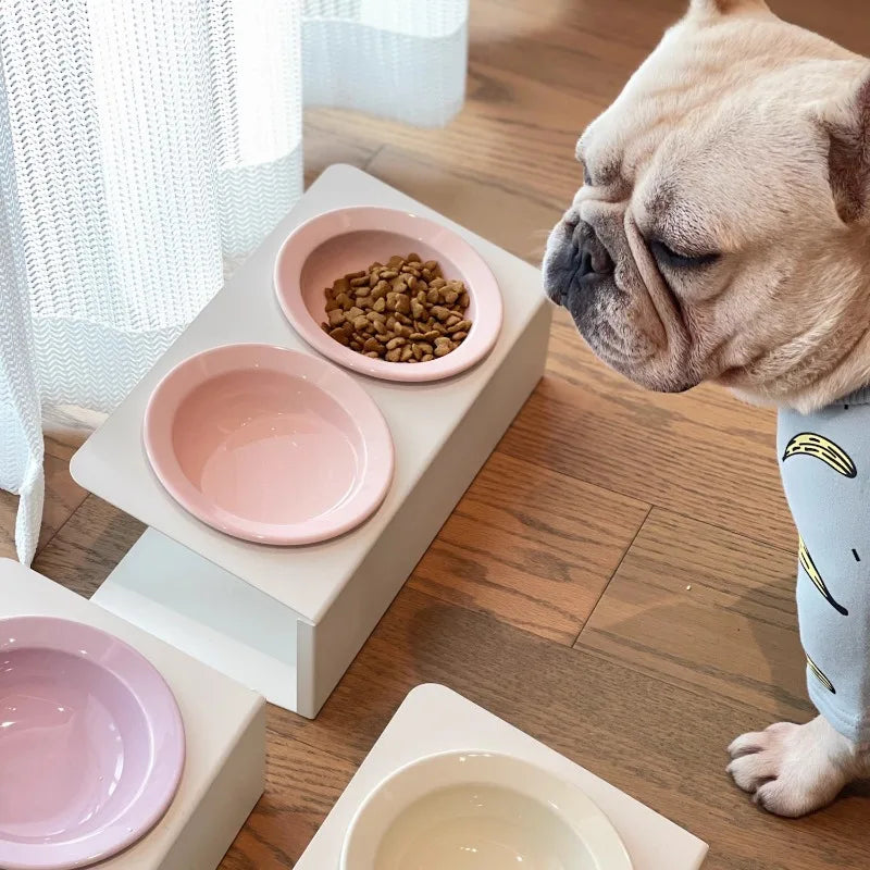 WhiskerDish™ Elevated Ceramic Cat & Dog Feeding Bowl Set