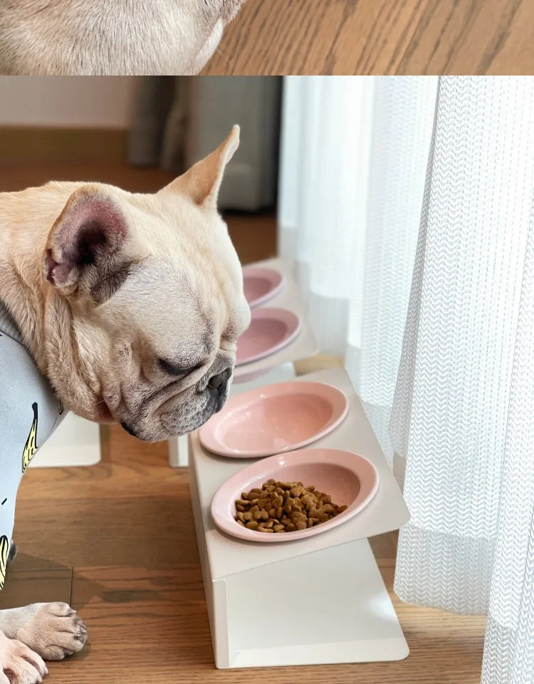 WhiskerDish™ Elevated Ceramic Cat & Dog Feeding Bowl Set
