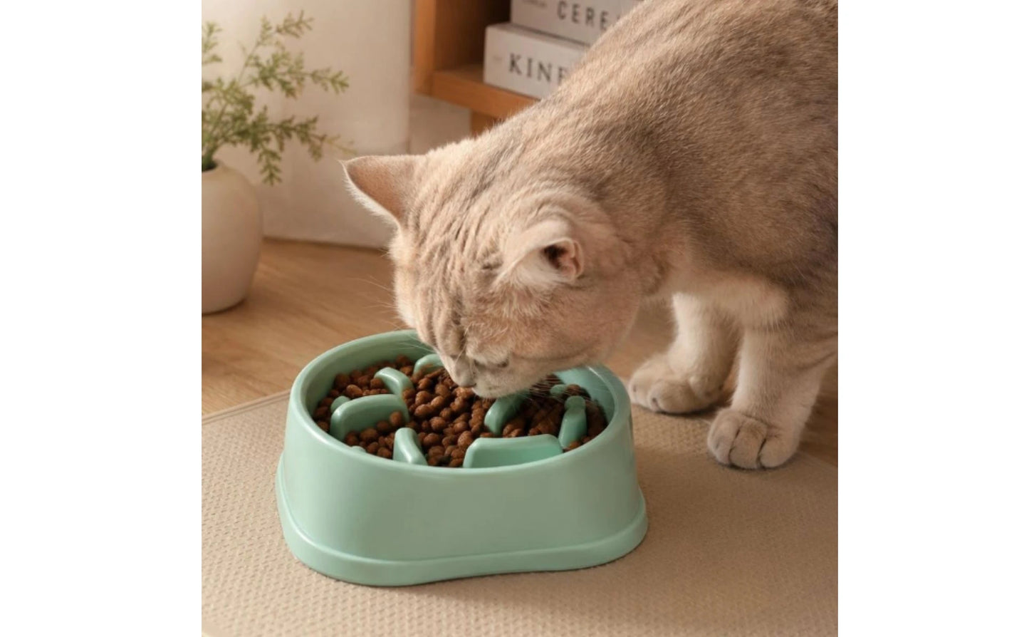 PacePaws™ Cuenco Cuadrado de Alimentación Lenta para Gatos y Mascotas Pequeñas